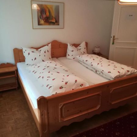 Apartment Froschkoenig Gladenbach エクステリア 写真