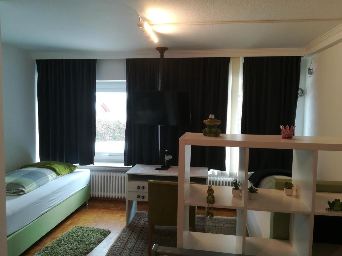 Apartment Froschkoenig Gladenbach エクステリア 写真