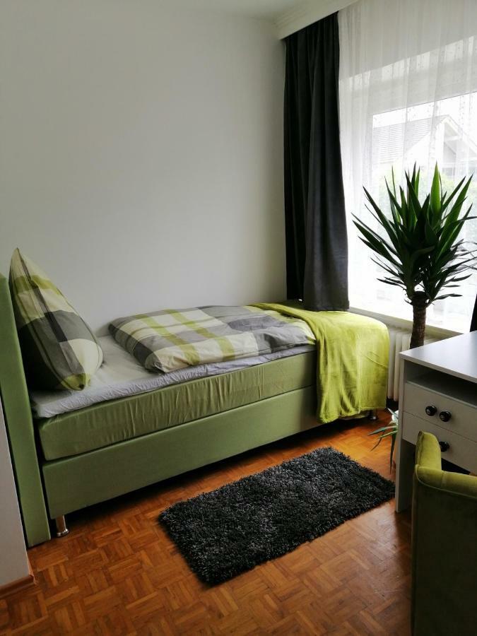 Apartment Froschkoenig Gladenbach エクステリア 写真