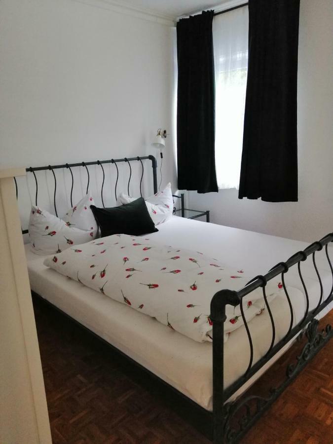 Apartment Froschkoenig Gladenbach エクステリア 写真